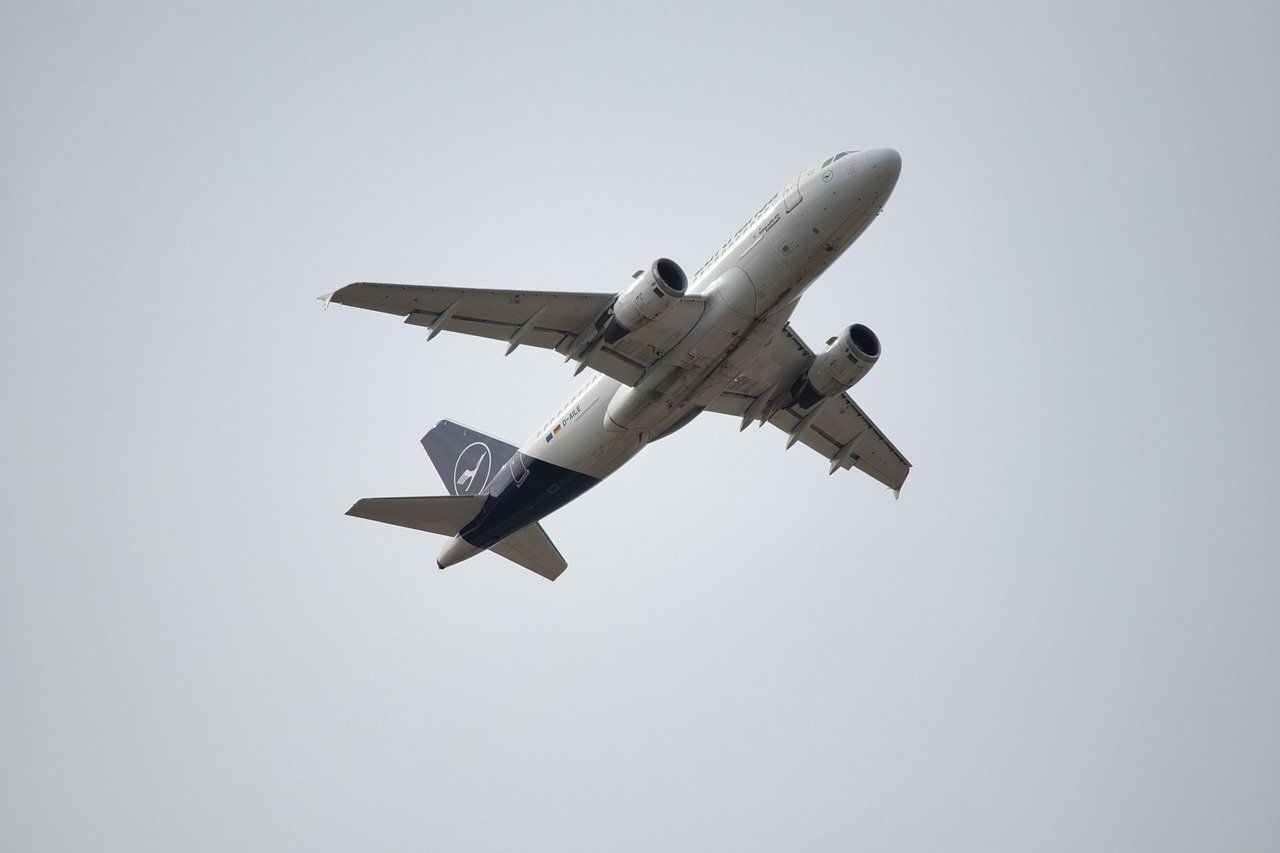 travel, plane, airport, aviation, flight, departure, flying, transport, freight, logistics